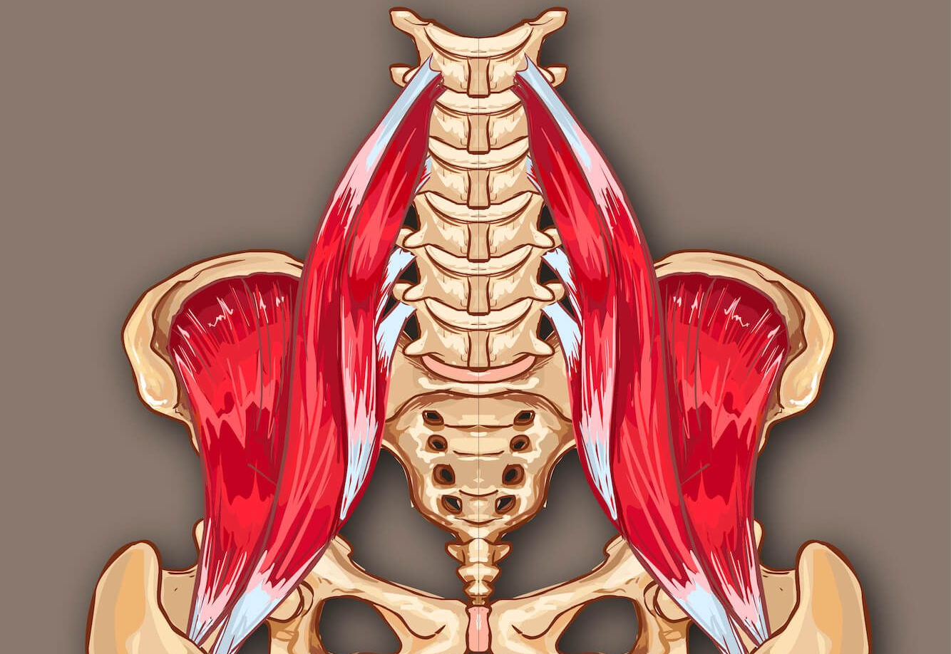 blog-psoas-thumbnail